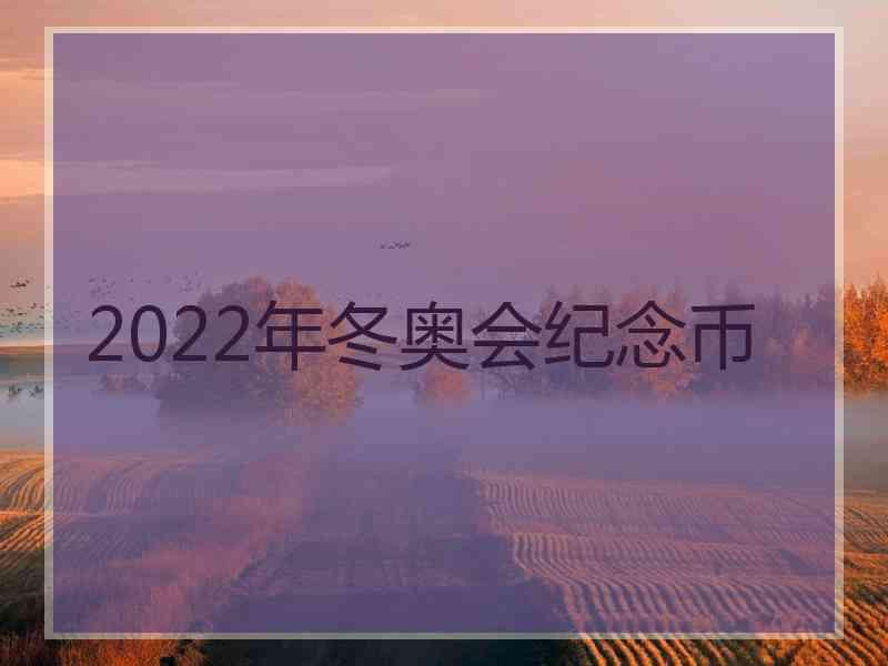 2022年冬奥会纪念币
