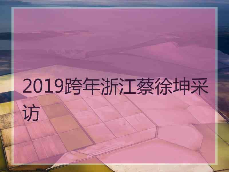 2019跨年浙江蔡徐坤采访