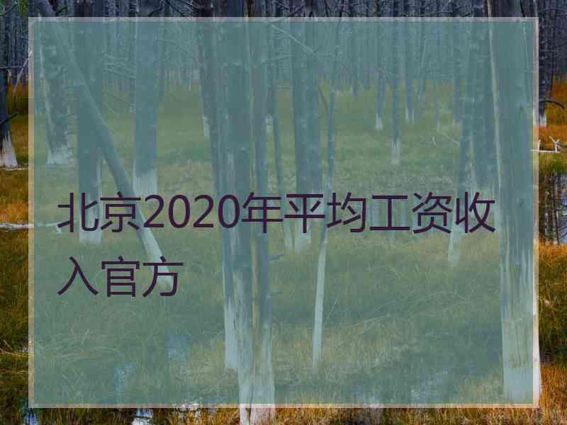 北京2020年平均工资收入官方