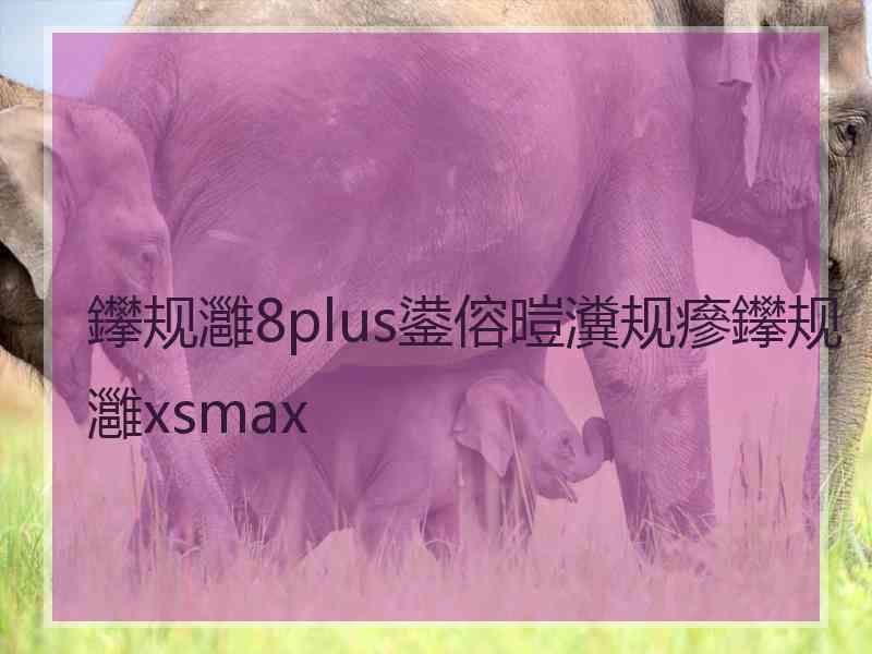 鑻规灉8plus鍙傛暟瀵规瘮鑻规灉xsmax