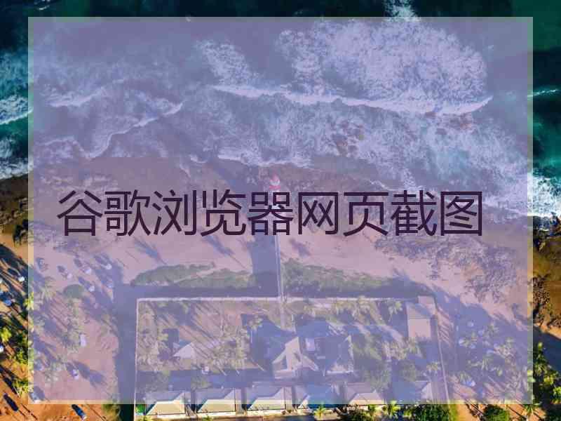 谷歌浏览器网页截图