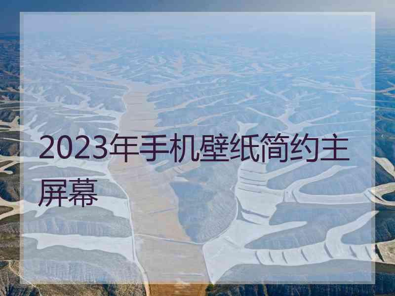 2023年手机壁纸简约主屏幕