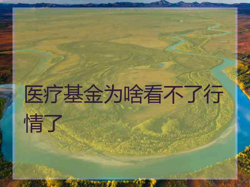 医疗基金为啥看不了行情了
