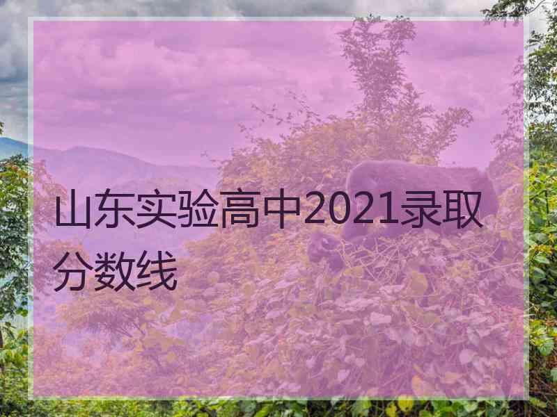 山东实验高中2021录取分数线