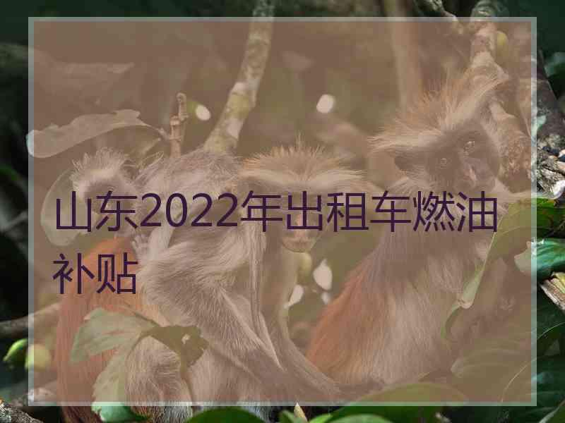 山东2022年出租车燃油补贴