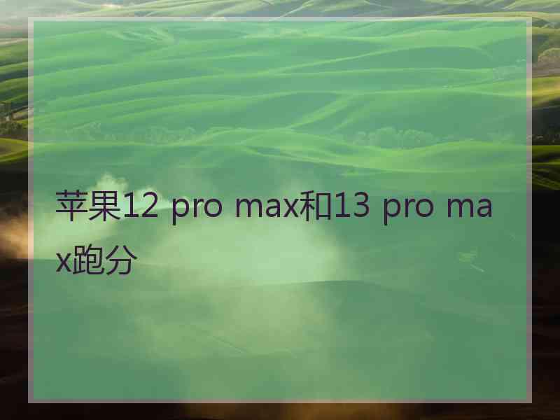苹果12 pro max和13 pro max跑分