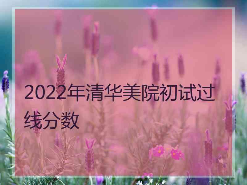 2022年清华美院初试过线分数