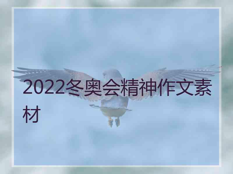 2022冬奥会精神作文素材