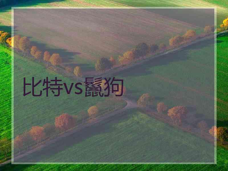 比特vs鬣狗