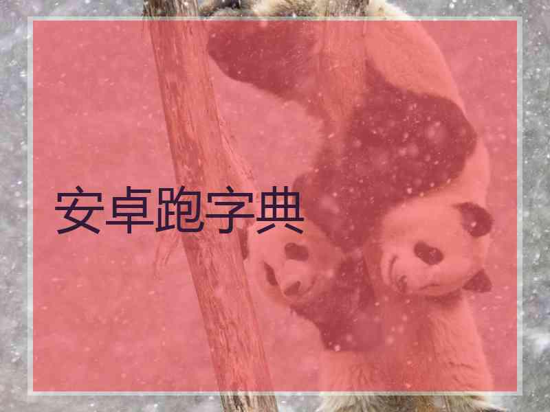 安卓跑字典