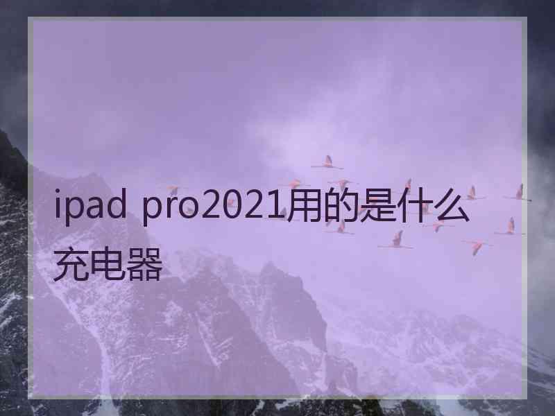 ipad pro2021用的是什么充电器