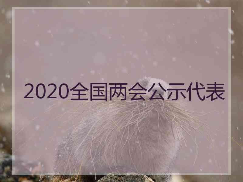 2020全国两会公示代表