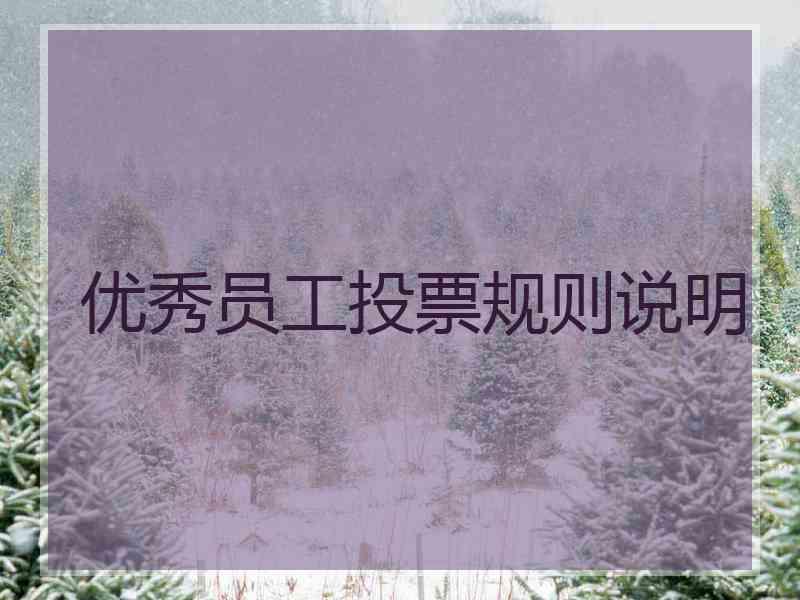 优秀员工投票规则说明
