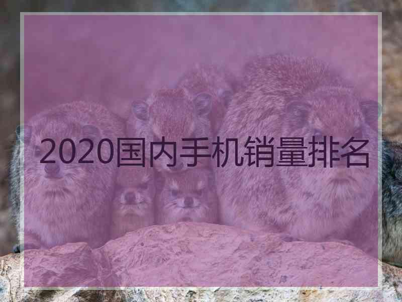 2020国内手机销量排名