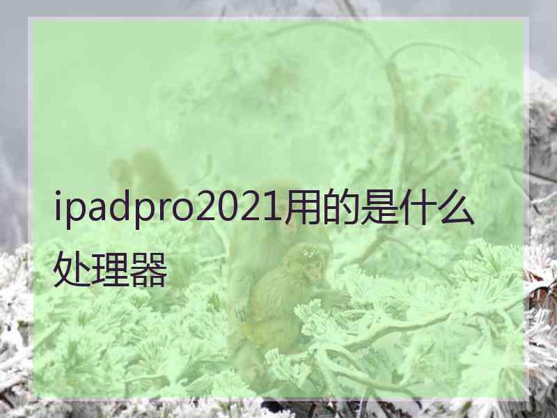 ipadpro2021用的是什么处理器
