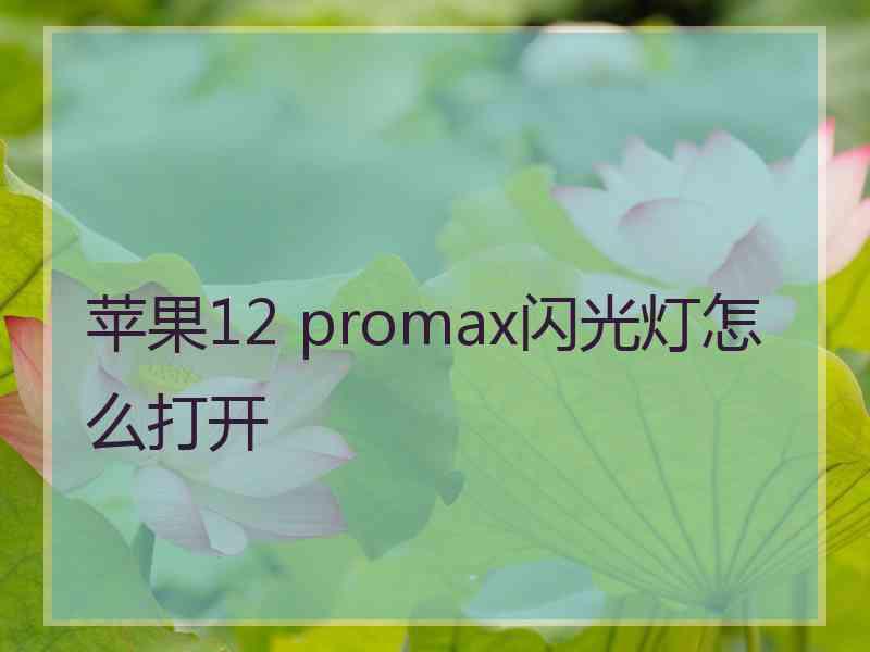 苹果12 promax闪光灯怎么打开