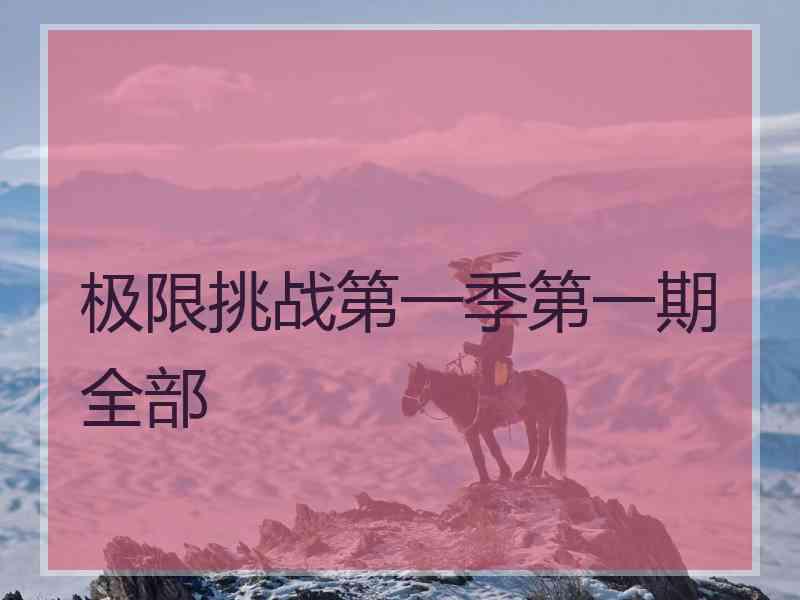 极限挑战第一季第一期全部