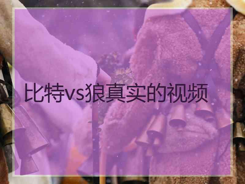 比特vs狼真实的视频