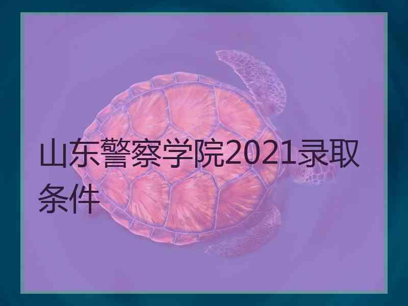 山东警察学院2021录取条件