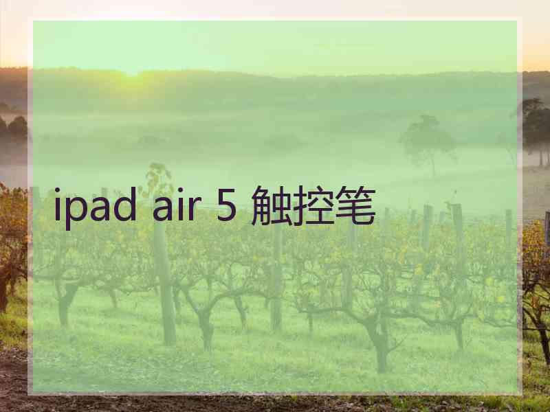 ipad air 5 触控笔