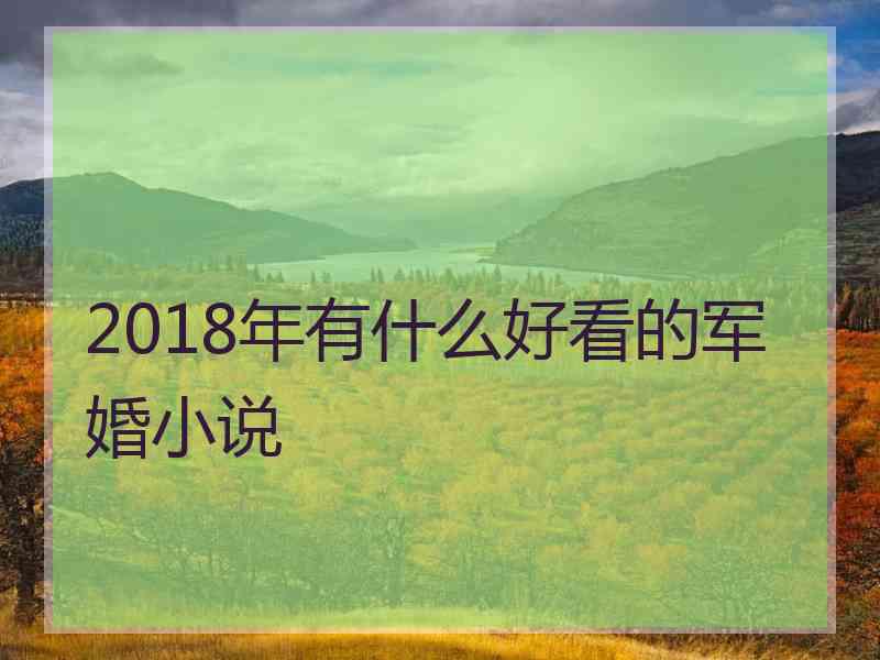 2018年有什么好看的军婚小说