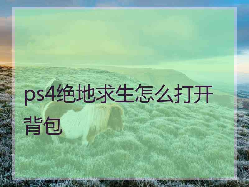 ps4绝地求生怎么打开背包