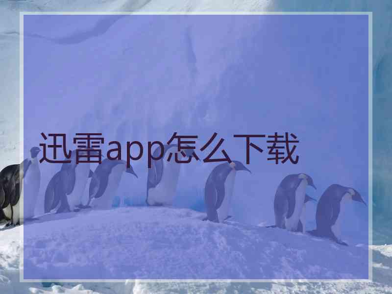 迅雷app怎么下载