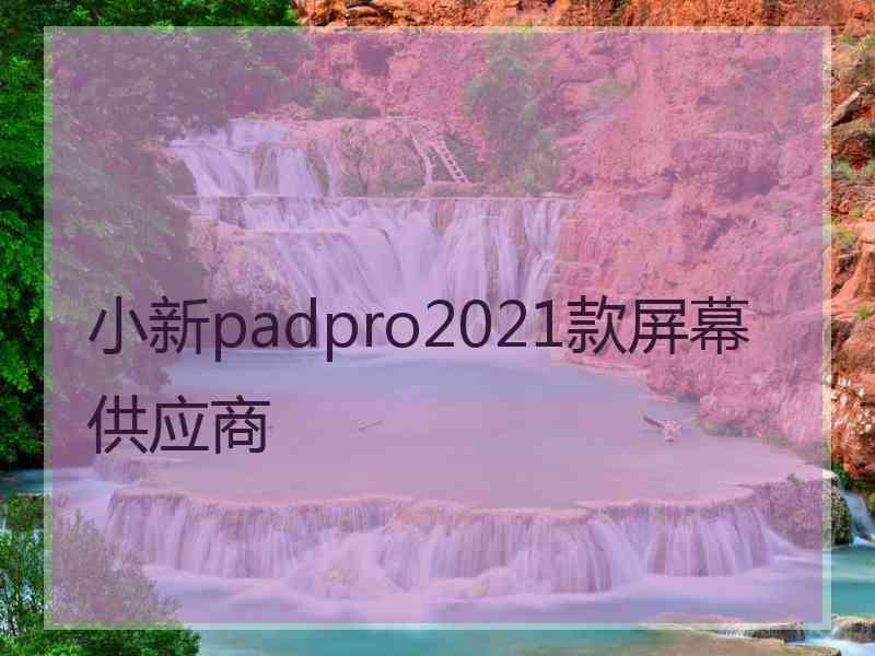 小新padpro2021款屏幕供应商