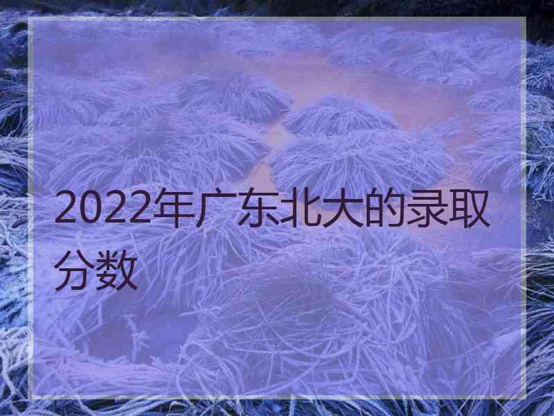 2022年广东北大的录取分数