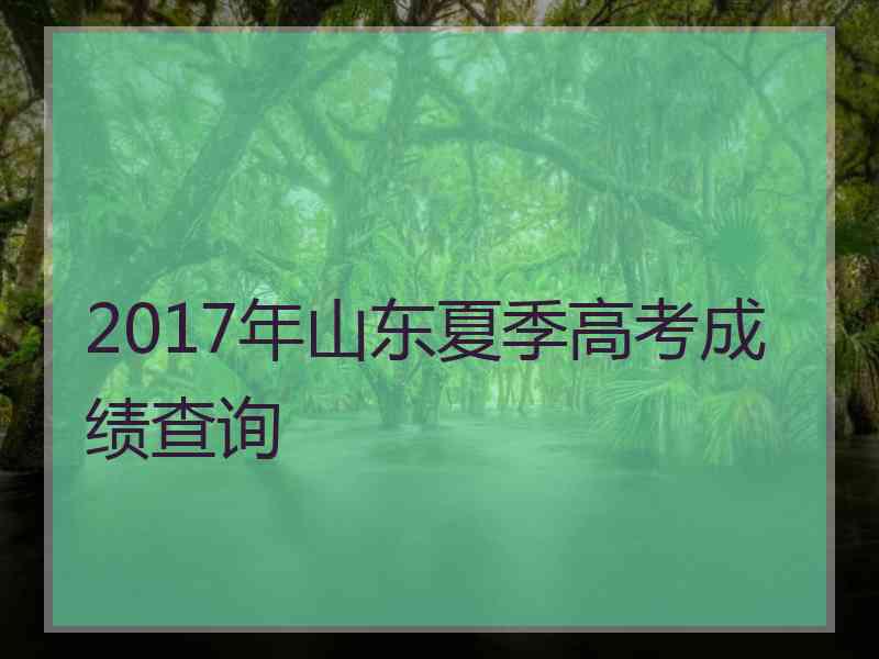 2017年山东夏季高考成绩查询