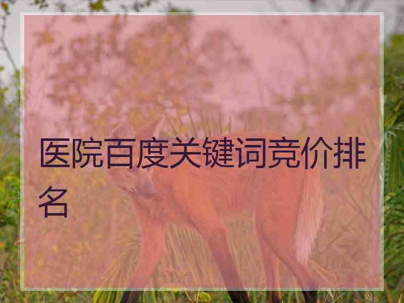 医院百度关键词竞价排名