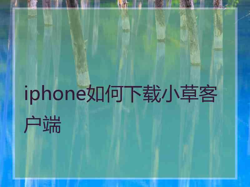 iphone如何下载小草客户端