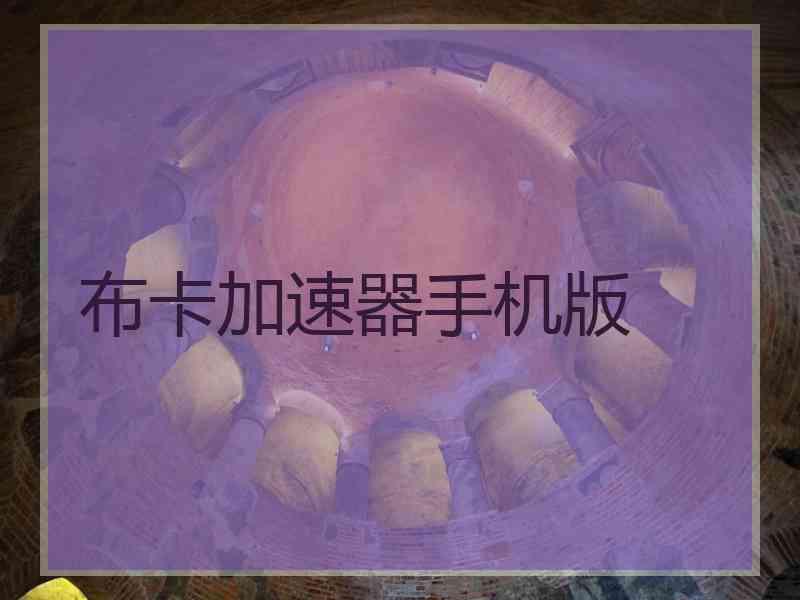 布卡加速器手机版