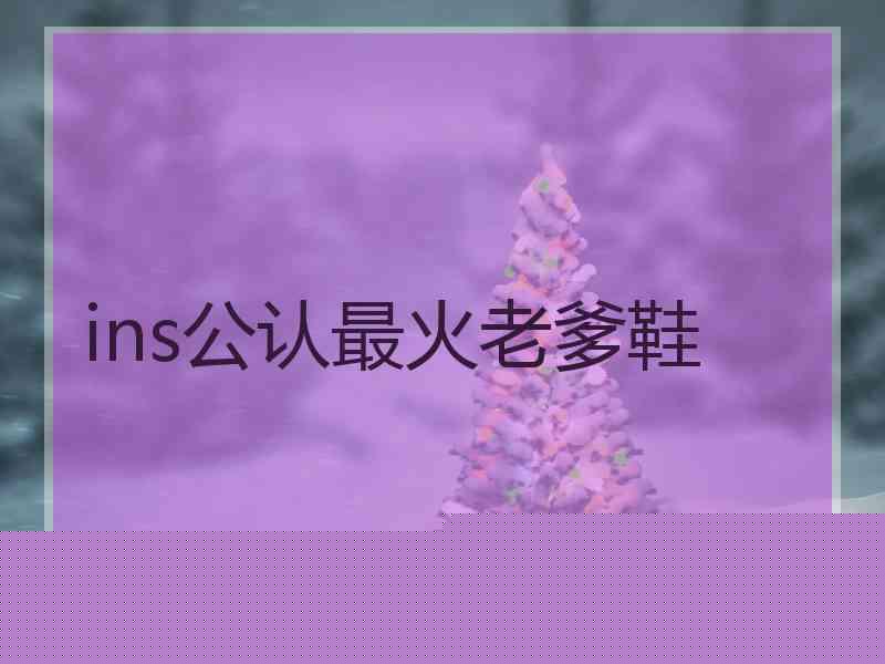ins公认最火老爹鞋
