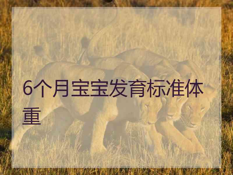 6个月宝宝发育标准体重