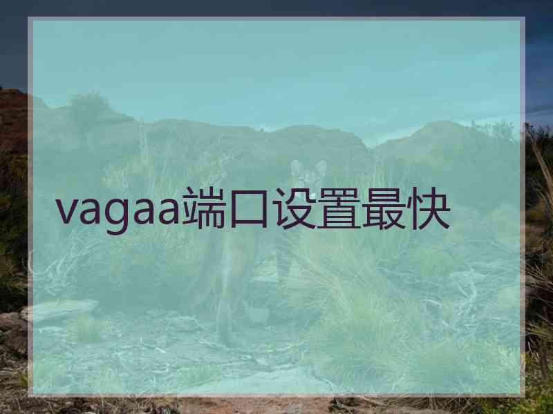 vagaa端口设置最快