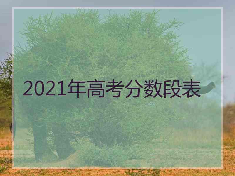 2021年高考分数段表