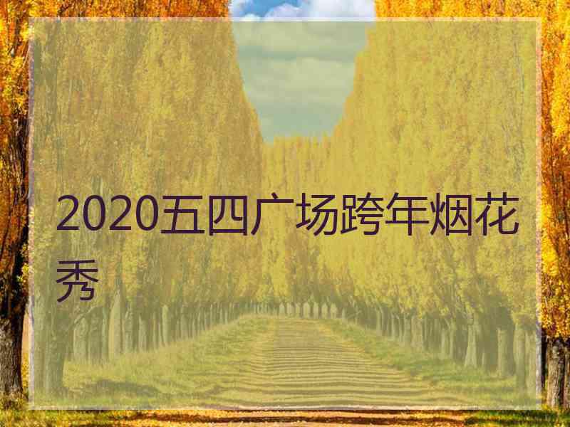 2020五四广场跨年烟花秀