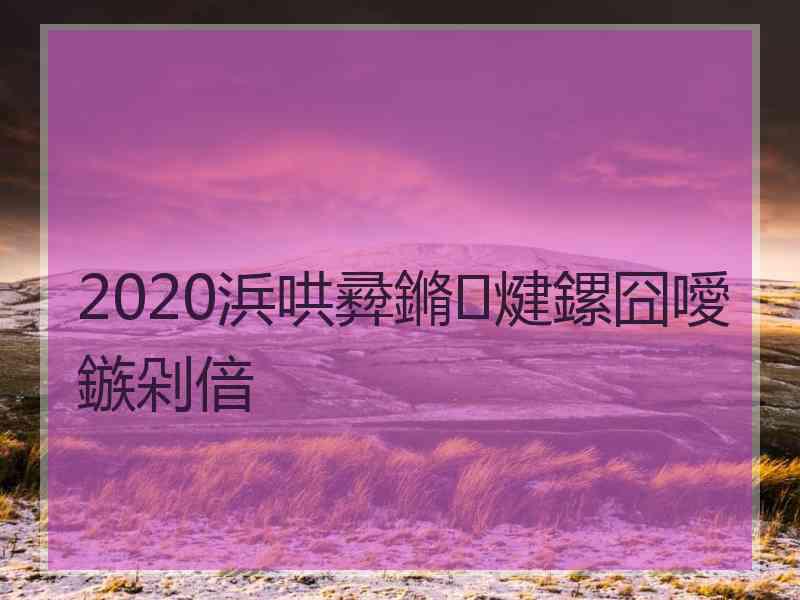 2020浜哄彛鏅煡鏍囧噯鏃剁偣