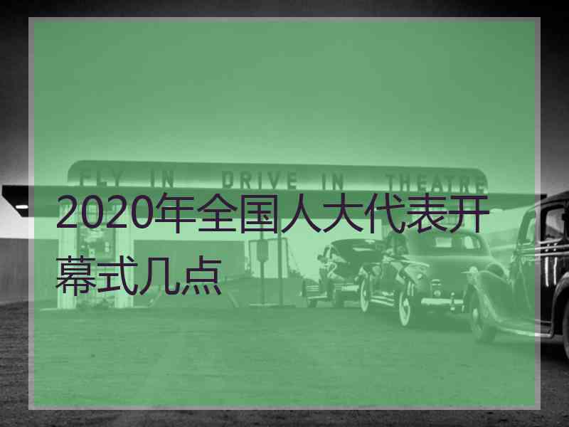 2020年全国人大代表开幕式几点