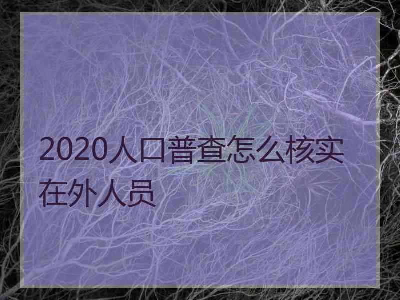 2020人口普查怎么核实在外人员