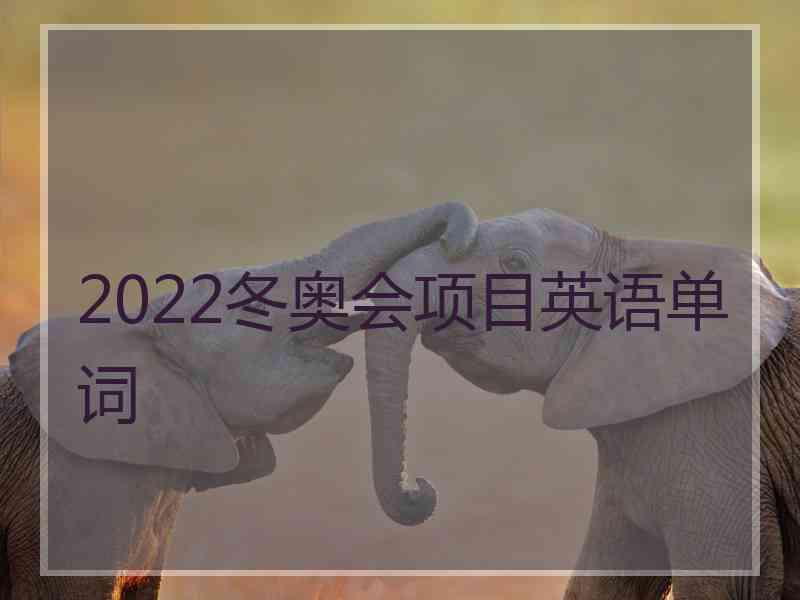 2022冬奥会项目英语单词