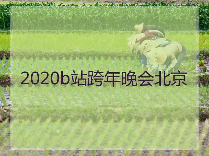 2020b站跨年晚会北京