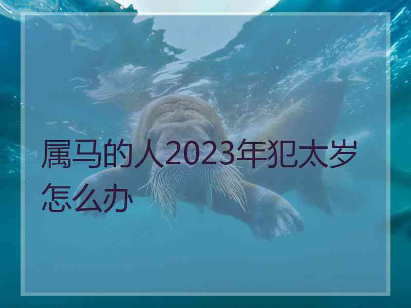 属马的人2023年犯太岁怎么办