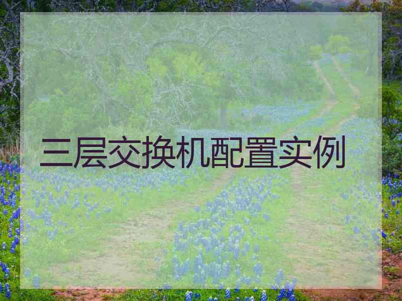 三层交换机配置实例
