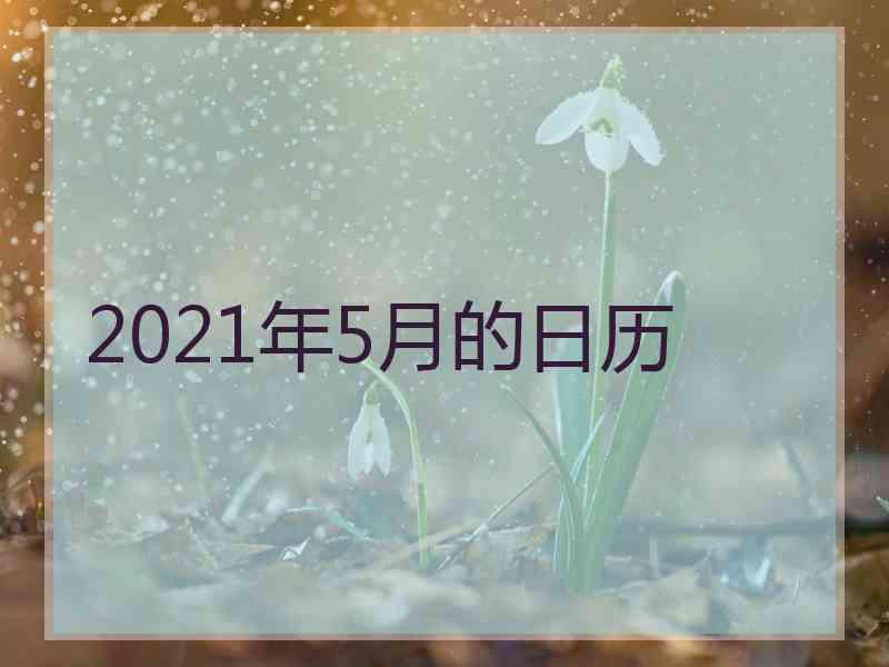 2021年5月的日历