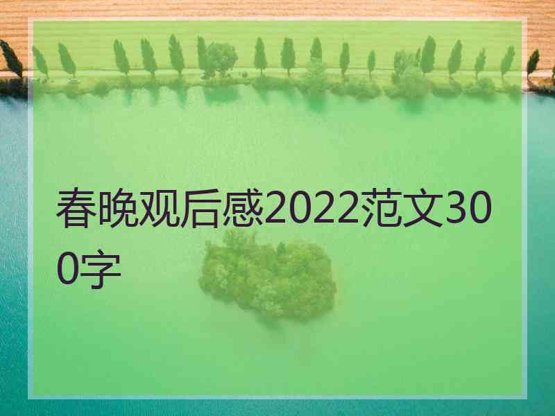 春晚观后感2022范文300字