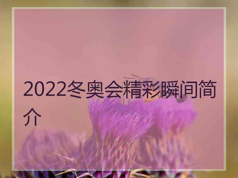 2022冬奥会精彩瞬间简介