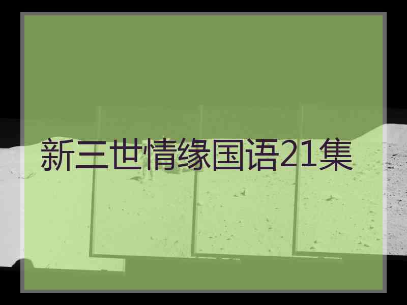 新三世情缘国语21集