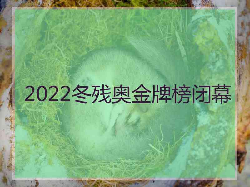 2022冬残奥金牌榜闭幕